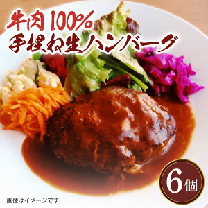 yӂ邳Ɣ[ŁzY  100 s no[O 150g×6 v 900g mH m y  ȒP Ⓚ   {k