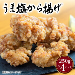 yӂ邳Ɣ[Łz܉ g v 1kg 250g×4pbN g 炠 aH y  WŊȒP Ⓚ  {k
