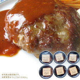 【ふるさと納税】あらびき牛煮込みハンバーグ 6個セット 250g 合計1,500g ハンバーグ デミグラスソース 手作り 食品 おかず 惣菜 熊本県 宇城市 冷凍 送料無料