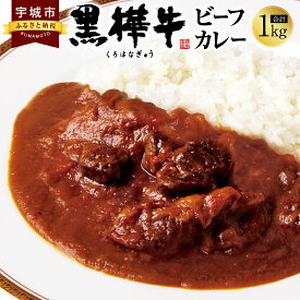 【ふるさと納税】黒樺牛ビーフカレー 1食 200g×5個 合計1kg 黒毛和牛 牛 お肉 九州 国産 レトルト ギフト 贈り物 お祝い 送料無料