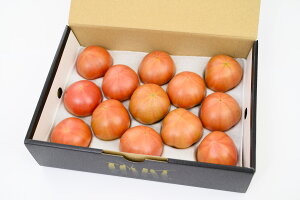 yӂ邳Ɣ[Łzs\ g}g } v~A 1kg  M`STCYi12`18ʁj Fʊ x10xȏ  ʎ t[cg}g FsY Y B F{ Fs  T