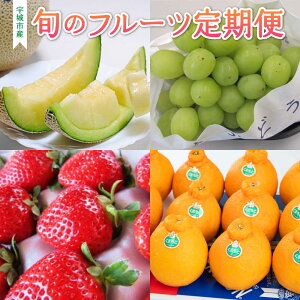 yӂ邳Ɣ[Łzys\zy2026Nzy4i2E4E6E8jz{̃t[c v4  fR| O[ VC}XJbg t[c ʕ  