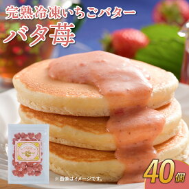 【ふるさと納税】完熟 冷凍 いちごバター バタ苺 12g×40個 合計480g 1袋 園村苺園 バター イチゴ 苺 さちのか フルーツ 果物 デザート 急速冷凍 贈答品 贈り物 のし対応 国産 九州産 熊本県産 宇城市産 送料無料
