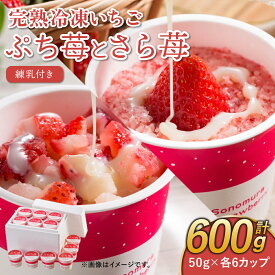 【ふるさと納税】完熟 冷凍 いちご ぷち苺 と さら苺 各6カップ 合計12カップ 50g×12カップ 合計600g 練乳付き 園村苺園 イチゴ 苺 さちのか 練乳 フルーツ 果物 デザート 小分け カップ 急速冷凍 贈答品 贈り物 のし対応 国産 九州産 熊本県産 宇城市産 送料無料