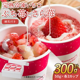 【ふるさと納税】完熟 冷凍 いちご ぷち苺 と さら苺 各3カップ 合計6カップ 50g×6カップ 合計300g 練乳付き 園村苺園 イチゴ 苺 さちのか 練乳 フルーツ 果物 デザート 小分け カップ 急速冷凍 贈答品 贈り物 のし対応 国産 九州産 熊本県産 宇城市産 送料無料