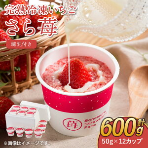 yӂ邳Ɣ[Łzn Ⓚ   50g×12Jbv v600g t 䕉 C`S  ̂  t[c ʕ fU[g  Jbv }Ⓚ i 蕨 ̂Ή Y 
