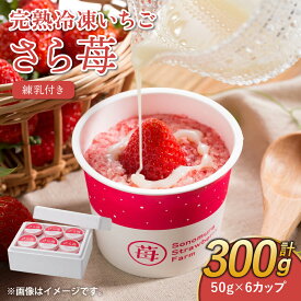 【ふるさと納税】完熟 冷凍 いちご さら苺 50g×6カップ 合計300g 練乳付き 園村苺園 イチゴ 苺 さちのか 練乳 フルーツ 果物 デザート 小分け カップ 急速冷凍 贈答品 贈り物 のし対応 国産 九州産 熊本県産 宇城市産 送料無料