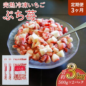 yӂ邳Ɣ[Łzy3zn Ⓚ  Ղ 500g×2pbN  1񂠂 v1kg 3 v3kg 3 A C`S  ̂ t[c ʕ fU[g pbN }Ⓚ 