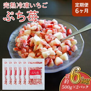 yӂ邳Ɣ[Łzy6zn Ⓚ  Ղ 500g×2pbN  1񂠂 v1kg 6 v6kg 6 A C`S  ̂ t[c ʕ fU[g pbN }Ⓚ 