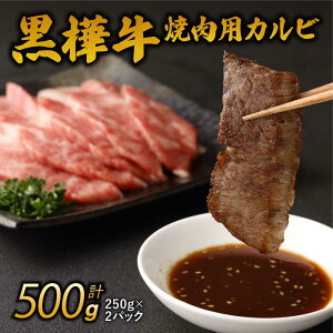 yӂ邳Ɣ[Łz A4`A5 ēp Jr v500g (250g×2pbN) BYјa   ē Ă a  јa Y Ⓚ   {{X