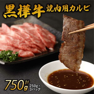yӂ邳Ɣ[Łzјa ēp Jr v750g 250g×3pbN     a Ăp uh Ⓚ Y B F{ Fs 