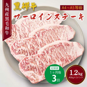 yӂ邳Ɣ[Łzy3ցz A4`A5 T[CXe[L BYјa   400g×3 v1.2kg a  јa ~ Xe[L  Y Ⓚ   