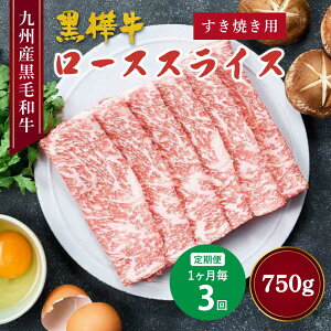 yӂ邳Ɣ[Łzy 13zјa [XXCX Ăp v750gi250g×3j    a [X Ԑg ~  Ԃ ₫ J[ Ⓚ BY 