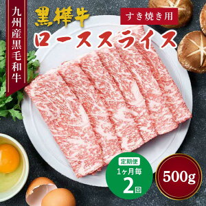 yӂ邳Ɣ[Łzy 12zјa [XXCX Ăp v500gi250g×2j    a [X Ԑg ~  Ԃ ₫ J[ Ⓚ BY 
