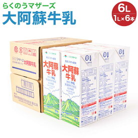 【ふるさと納税】 牛乳 大阿蘇牛乳 1L×6本 合計6L 紙パック 成分無調整牛乳 乳飲料 乳性飲料 らくのうマザーズ ドリンク 飲み物 飲料 セット 常温保存可能 ロングライフ 送料無料