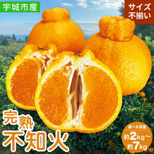 yӂ邳Ɣ[Łz s\ sm ƒp nsm yIׂeʁz(2kg/3kg/5kg/7kg) y2026N2{3{\z ʎ TCYs MTCY`2LTCY ʂ 