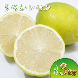 yӂ邳Ɣ[Łzys\ẑ 3kg 10`12Oy2026N2{5{\z EG k t[c ʕ  荂 W[V[ ʎ T[ BY 