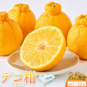 【ふるさと納税】 先行予約 不知火 果実の宝箱デコ柑不知火 約2.5kg 7玉〜12玉 【2026年3月上旬から5月下旬発送予定】 しらぬい 柑橘 みかん ミカン 蜜柑 果物 くだもの フルーツ 九州産 熊本県
