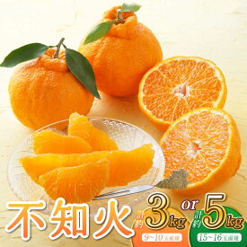 【ふるさと納税】先行予約 宇城市産 不知火 約3kg 9〜10玉前後 もしくは 約5kg 15〜16玉前後 うちやま果樹園 しらぬい みかん ミカン 蜜柑 果物 くだもの フルーツ 熊本県産 九州産 国産 2026年3月上旬から6月下旬発送予定