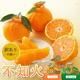 【ふるさと納税】先行予約 宇城市産 訳あり品 不知火 約3kg 11玉前後 もしくは 約5kg 20玉前後 うちやま果樹園 しらぬい みかん ミカン 特産品 旬の果物 蜜柑 果物 くだもの フルーツ 傷 不揃い 訳アリ 熊本県産 国産 柑橘類 【2026年3月上旬から6月下旬発送予定】