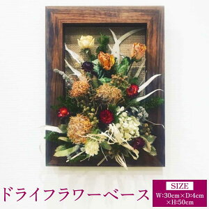 �y�ӂ邳�Ɣ[�Łz�h���C�t�����[�x�[�X �E�H�[���i�b�g ��:30cm ���s��:4cm ����:50cm �d��:946g �Ԋ� �ؐ� �h���C�t�����[�p �E�b�h �C���e���A �Ǌ|�� �ԑ� �V���v�� �M�t�g ���蕨 �v���[���g 