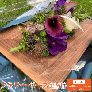 �y�ӂ邳�Ɣ[�Łz�t�����[�x�[�X ���ԗp �E�H�[���i�b�g ��:30cm ���s��:7cm ����:50cm �d��:946g �Ԋ� �ؐ� �E�b�h �C���e���A �ԑ� �V���v�� �M�t�g ���蕨 �v���[���g �F�{�� �F��s �c���[����