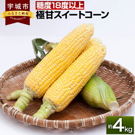 【ふるさと納税】 【先行予約】【2024年5月上旬から順次発送】極甘 スイートコーン 約4kg （12～14本）山本農園 コーン とうもろこし トウモロコシ 玉蜀黍 糖度18度以上 甘い 野菜 やさい 国産 九州産 熊本産 送料無料