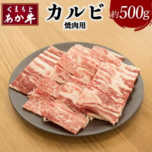 yӂ邳Ɣ[Łz܂Ƃ Jr ēp 500g×1pbN   a Ԑg  Jr o Y BY F{Y ē Hi Ⓚ  {Y