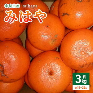 �y�ӂ邳�Ɣ[�Łz�y��s�\��z �݂��� �݂͂� ��3kg 15�`25�� �y2026�N1����{�`2026�N3����{�����������\��z ���k �F��s�Y �F�{���Y ��B�Y ���Y �������� �g�c�����j�[