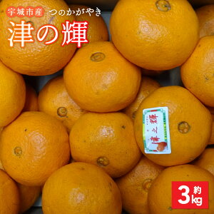 �y�ӂ邳�Ɣ[�Łz�y��s�\��z �݂��� �Â̋P �̂����₫ ��3kg 15�ʁ`25�� �y2026�N2����{�`2026�N4�����{�����������\��z ���k �F��s�Y �F�{���Y ��B�Y ���Y �������� �g�c�����j�[