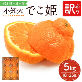 【ふるさと納税】 先行予約 不知火 訳あり でこ姫 約5kg 18〜25個 みかん 吉田レモニー しらぬい 柑橘 宇城市産 熊本県産 九州産 国産 【2026年2月中旬-5月下旬発送】 オレンジ ミカン わけあり 傷 キズ 甘い 家庭用 自宅用 蜜柑 濃厚 ジューシー