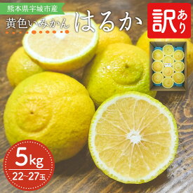 【ふるさと納税】 先行予約 みかん はるか 約5kg 22〜27玉 訳あり 吉田レモニー わけあり 柑橘 宇城市産 熊本県産 九州産 国産 送料無料 【2026年2月上旬頃～2026年5月下旬発送】