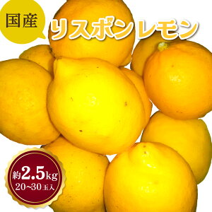 yӂ邳Ɣ[Łz s\ Y X{  2.5kg 20`30 ygcj[z k FsY F{Y BY Y  y2025N11{`2026N7{z