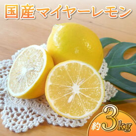 【ふるさと納税】 先行予約 国産 マイヤー レモン 約3kg 15〜20玉 【2025年9月下旬頃～2026年6月上旬発送】 吉田レモニー 柑橘 宇城市産 熊本県産 九州産 国産