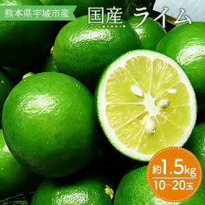 yӂ邳Ɣ[Łz s\ Y C 1.5kg 10`20 gcj[ y2025N9{`2026N4{zC k FsY F{Y BY Y 