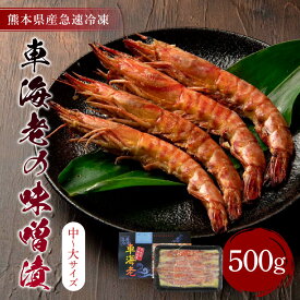 【ふるさと納税】 車海老 味噌漬 合計500g (中〜大サイズ) 250g×2袋 海老 えび エビ 魚介 魚介類 味噌 加工品 急速冷凍 冷凍 熊本県産 九州 送料無料