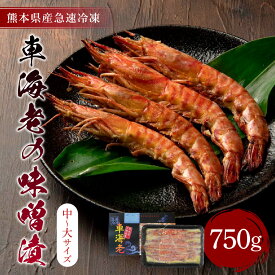 【ふるさと納税】 車海老 味噌漬 合計750g (中〜大サイズ) 250g×3袋 海老 えび エビ 魚介 魚介類 味噌 加工品 急速冷凍 冷凍 熊本県産 九州 送料無料