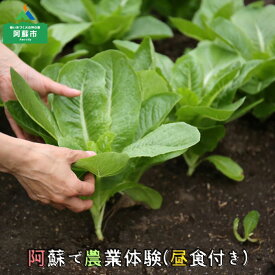 【ふるさと納税】阿蘇蔵農園 熊本県阿蘇市 阿蘇のカルデラで農業体験＆お散歩 送迎あり 野菜スムージー・お弁当あり 1口(1名分) 旅行 アクティビティ リフレッシュ ストレス解消 アウトドア