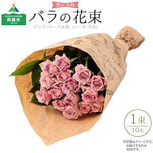 yӂ邳Ɣ[Łz ԑ o ỏԑ hCt[  ỏԑ10{ 10{ sN sNp[v VN  Mtg 蕨 j Ԃ  F{ hs