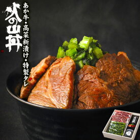 【ふるさと納税】あか牛 ステーキ 水 セット 牛肉 高菜 冷凍 赤牛 あかうし 熊本 くまもと 褐色和牛 和牛 国産 赤身 贅沢 ごちそう 送料無料 熊本県 阿蘇市