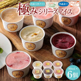【ふるさと納税】ジェラート 阿蘇天然アイス アレルゲンフリー 極み シリーズ 6個 セット アイス フルーツ お取り寄せ ギフト 贈答用 スイーツ 安心 お菓子 冷凍 熊本県 阿蘇市
