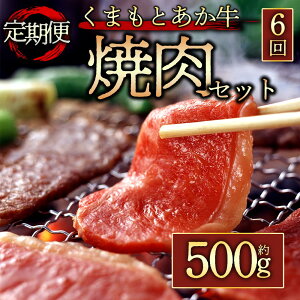yӂ邳Ɣ[Łz 6 GIF ܂Ƃēp500g ͂ S6  Ⓚ yY Mtg p ܂ hq F{ hs