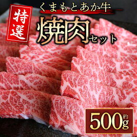 【ふるさと納税】【GI認証】くまもとあか牛　特選焼肉用　500g 牛肉 冷凍 熊本 くまもと 和牛 国産 赤身 送料無料 阿蘇牧場 贈答用 贈り物 ギフト ふるさと納税 美味しい 贅沢 晩酌 ディナー 熊本県 阿蘇市