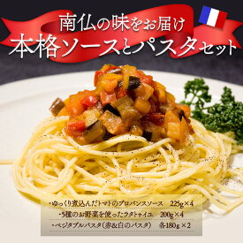 【ふるさと納税】 パスタセット ベジタブル パスタ トマトソース ラタトゥイユ 減塩 本場の味 ソース付パスタセット ディナー ランチ 阿蘇 豪華 冷製パスタ 肉料理 魚料理 熊本県 阿蘇市