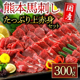 【ふるさと納税】阿蘇牧場 馬刺し 上赤身 200g 300g 500g 1000g 1500g