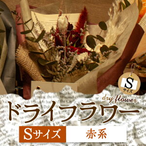 yӂ邳Ɣ[ŁzDȐFőIׂIh̃hCt[iSTCYj  Mtg 蕨 j Ԃ  Cxg p TvCY v|[Y   Y f