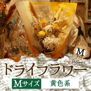 �y�ӂ邳�Ɣ[�Łz�D���ȐF�őI�ׂ�I���h�̃h���C�t�����[�iM�T�C�Y�j ������ �M�t�g ���蕨 ���j�� ���Ԃ� ������������ �C�x���g �����p �T�v���C�Y �v���|�[�Y ���� ���� �Y�� �f