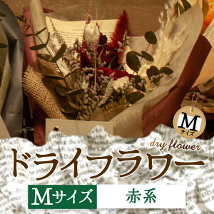 yӂ邳Ɣ[ŁzDȐFőIׂIh̃hCt[iMTCYj  Mtg 蕨 j Ԃ  Cxg p TvCY v|[Y   Y f