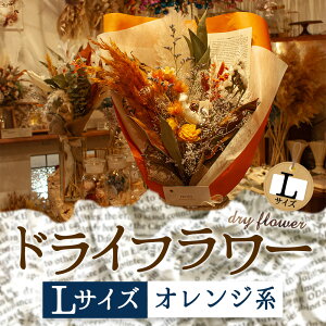 yӂ邳Ɣ[ŁzDȐFőIׂIh̃hCt[iLTCYj   Mtg 蕨 j Ԃ  Cxg p TvCY v|[Y   Y