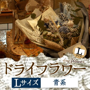yӂ邳Ɣ[ŁzDȐFőIׂIh̃hCt[iLTCYj   Mtg 蕨 j Ԃ  Cxg p TvCY v|[Y   Y